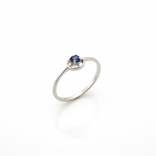 14K White Gold Sapphire Ring, S:0.09ct