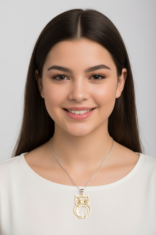 Two-Tone 925 Sterling Silver Owl Pendant Necklace