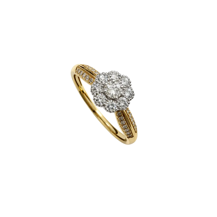 10K Two Tone Gold 37 Diamond Halo Setting Ring