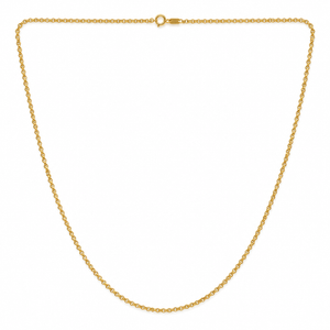 18K Yellow Gold Rolo Chain Necklace