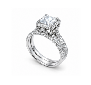 Platinum Halo Princess Cut Canadian Diamond Ring and Band TDW: 3.42ct