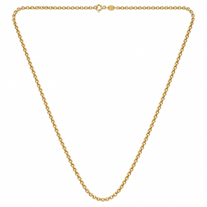 18K Yellow Gold Rolo Chain Necklace