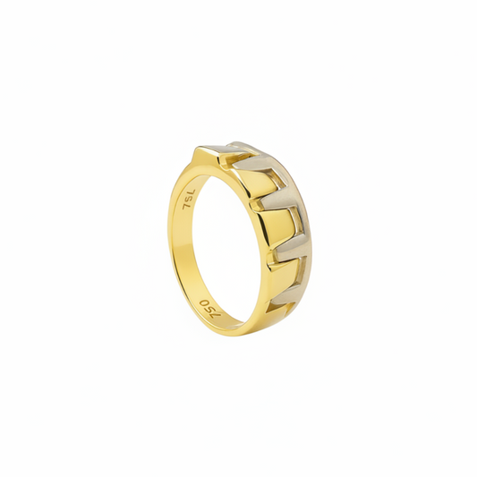 18K Two-Tone Yellow and White Gold Zipper Ring